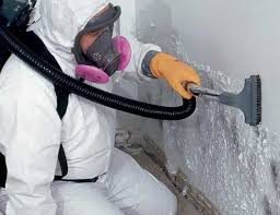 Best Commercial Mold Inspection  in Belford, NJ